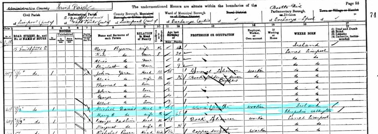 Mary Ann & Michael Davies 1901 census