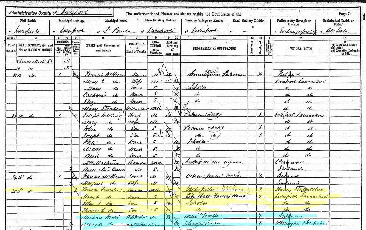 Mary Ann & Michael en Thomas + family 1891 census Lower Milk street
