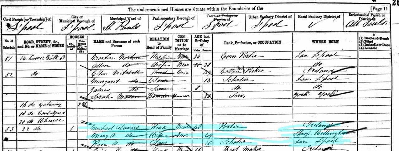Mary Ann & fam 1881 census Lower Milk street