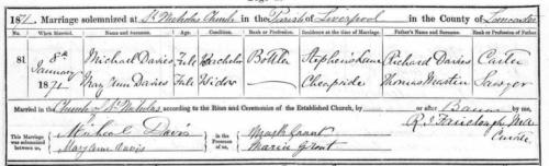 Michael Davies & Mary Ann Martin marriage 1871